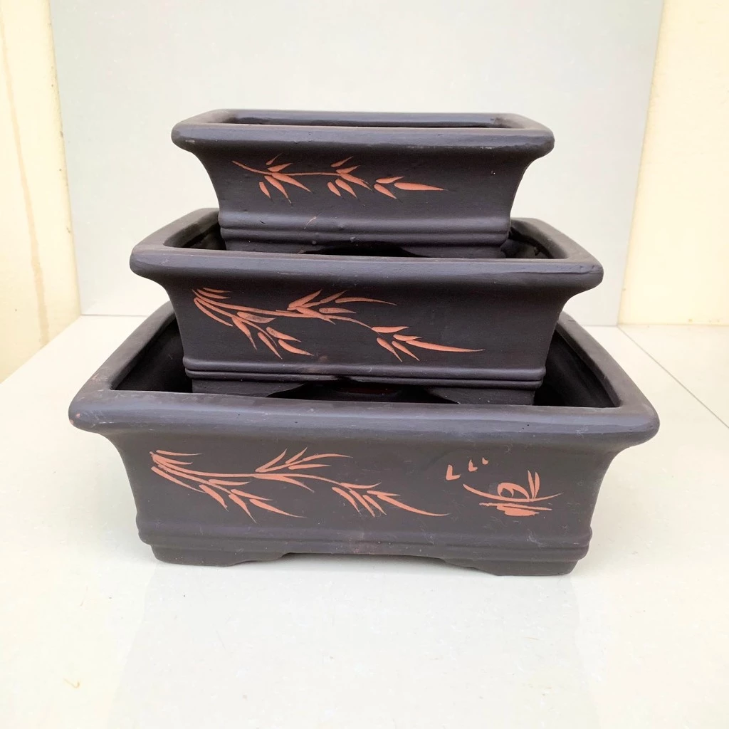 Chậu bonsai mẫu 4